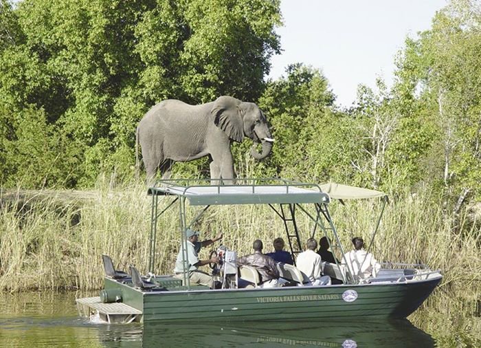 River safari on the Zambezi