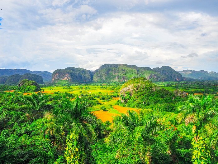 Vinales