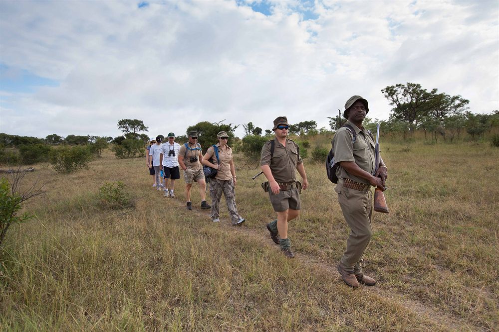 Bush walk with highly experienced rangers