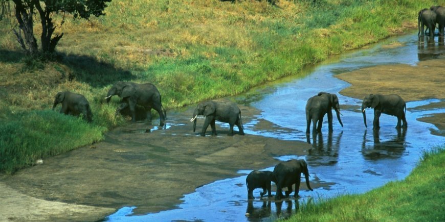 Tarangire RIver