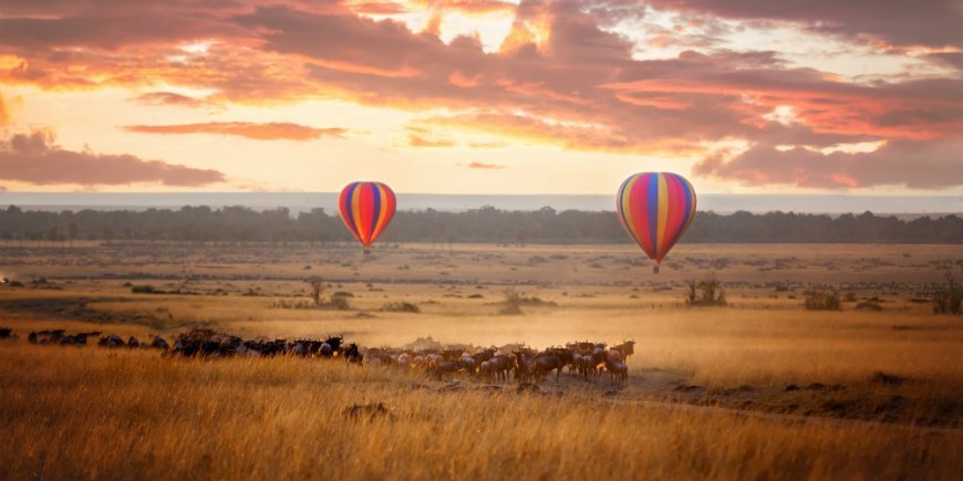 Balloon safari in Masai Mara