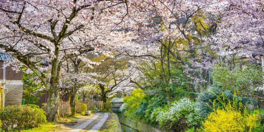 Kyoto