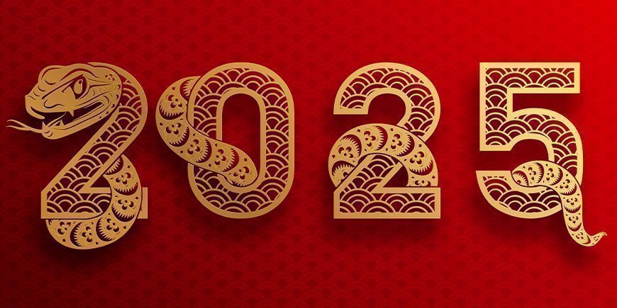 Nuevo Año Chino Serpiente de Madera Yin 2025