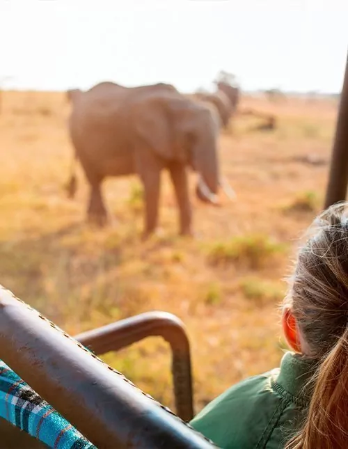 Family safari in Kenya