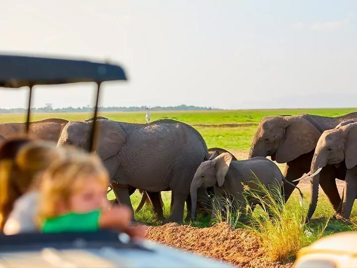 Family safari in Kenya