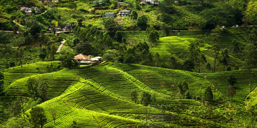 central highlands of sri lanka