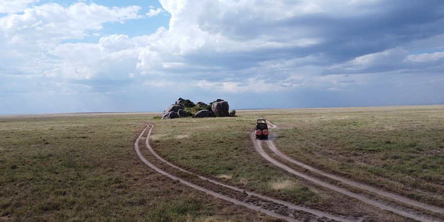 TourCompass car driving in Serengeti National Park