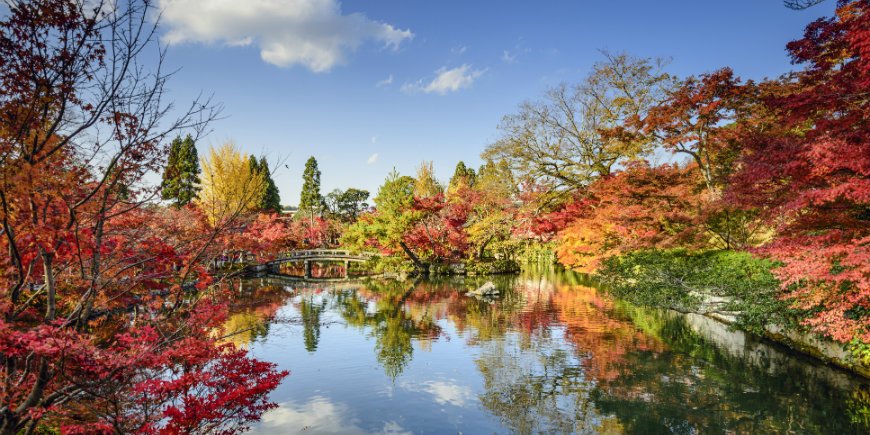 Atumn, Kyoto