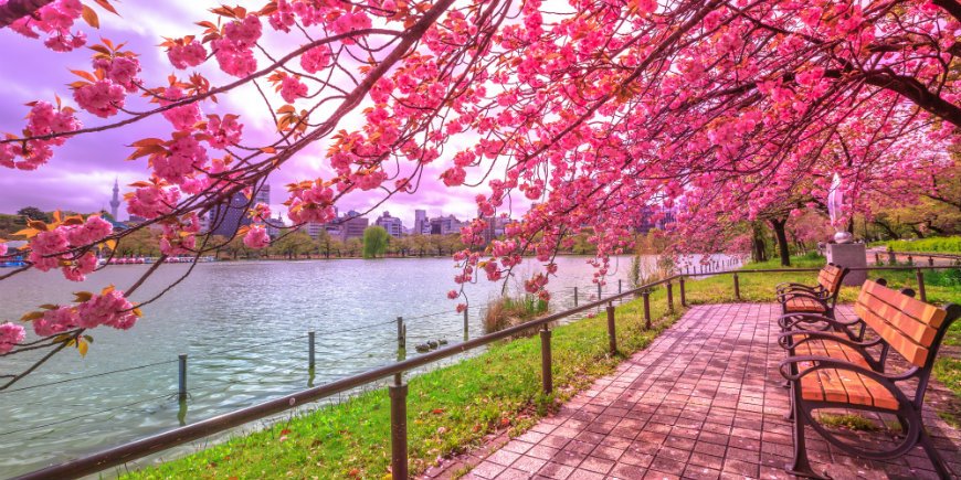 Spring, Tokyo