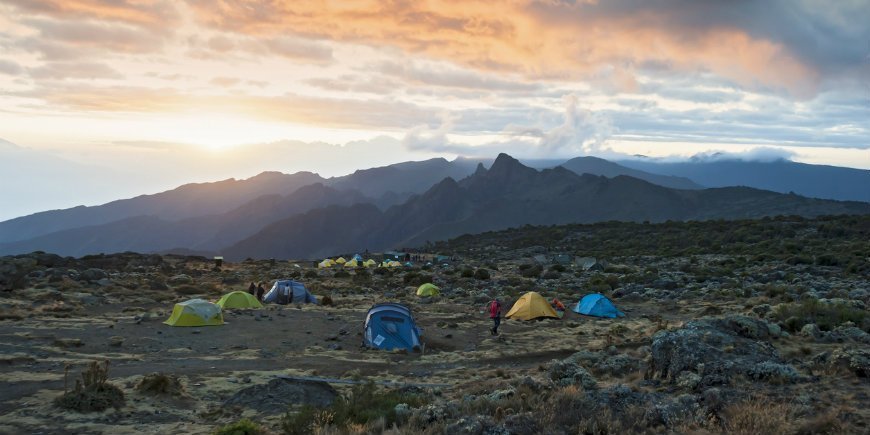 Camp on the Shira Route