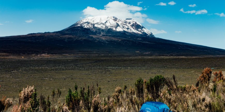 Kilimanjaro