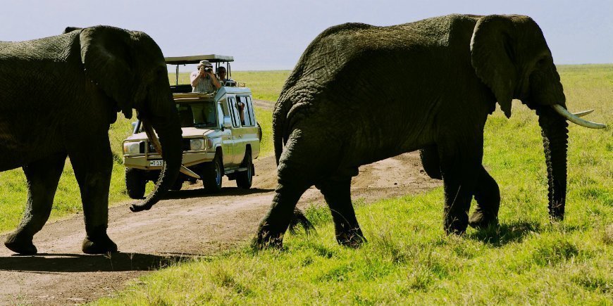 Ngorongoro, Tanzania