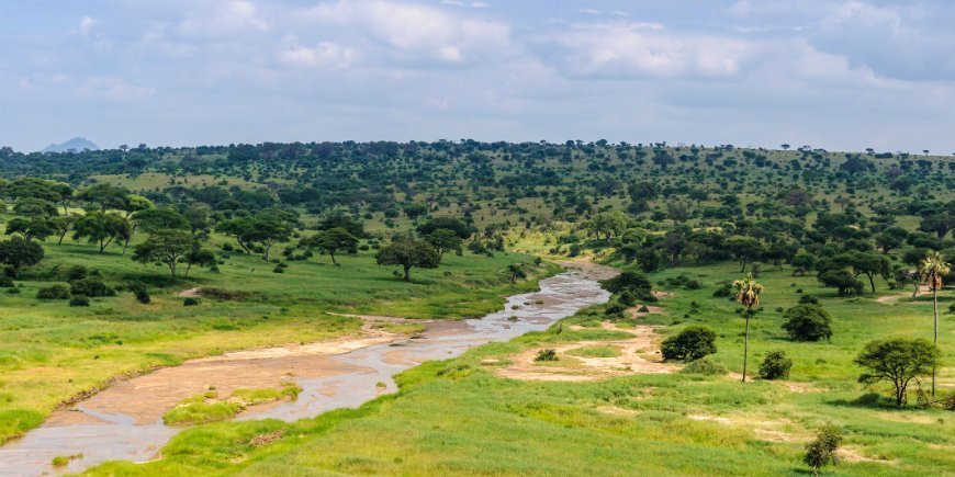 5 Nature in Tarangire