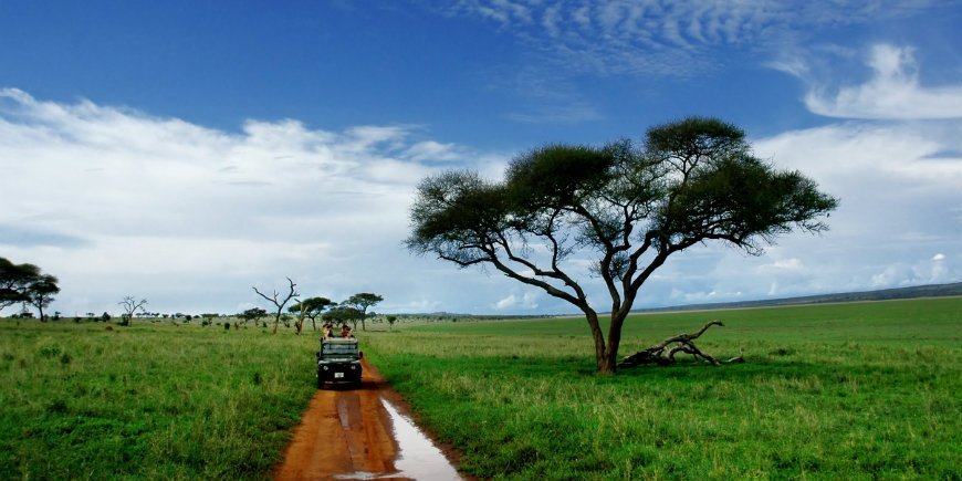 tarangire safari