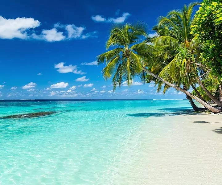 Tour and beach holiday