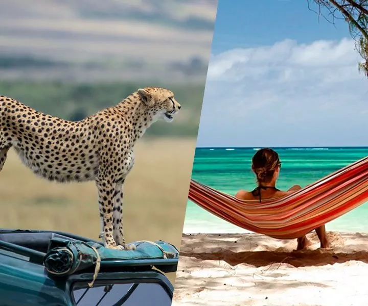 Safari and beach holidays