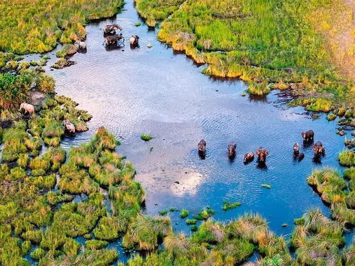 Botswana & Victoria Falls