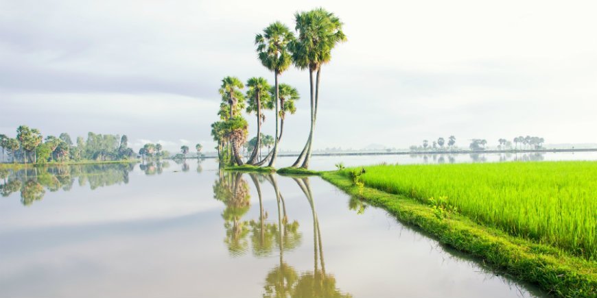 Mekong river landscape