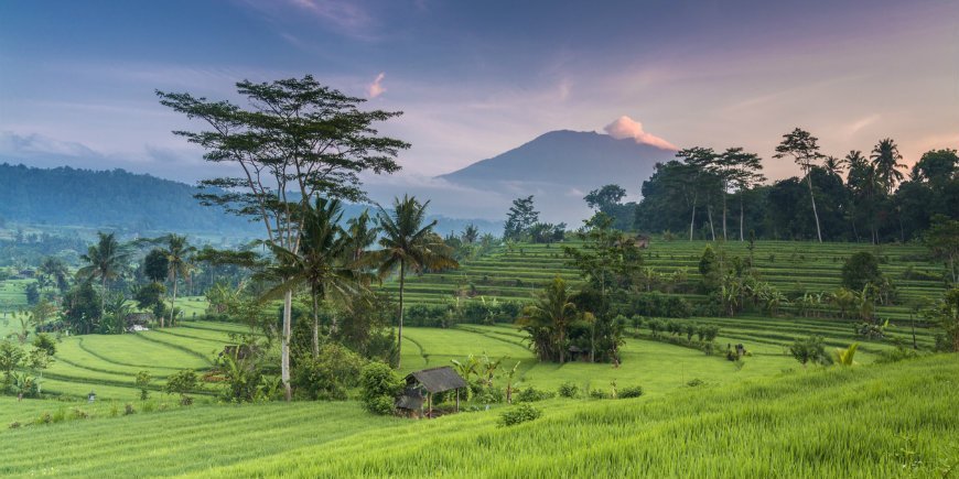 Bali nature