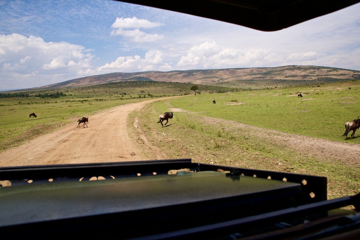 View from the safari car in Masai Mara