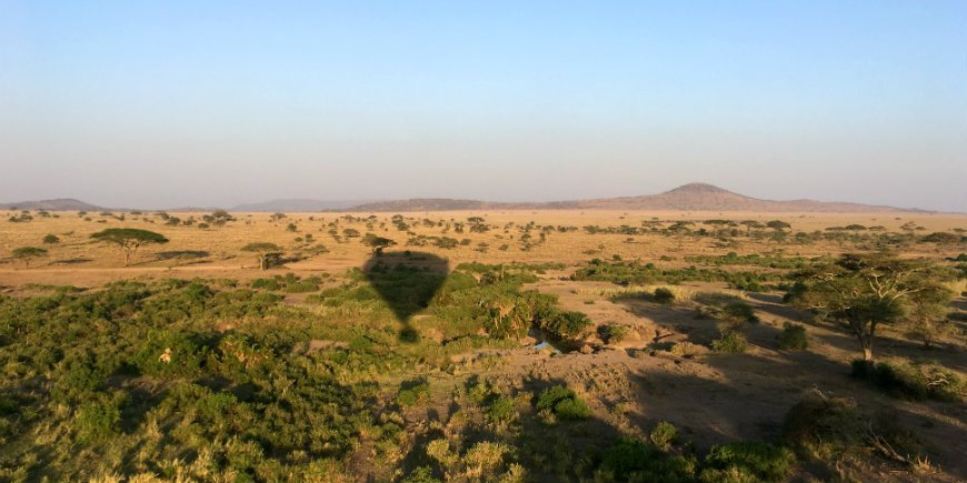 View over the Serengeti