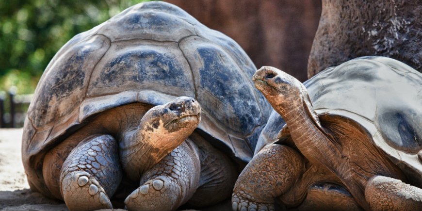 Ecuador - Galapagos