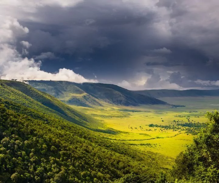 The wonders of nature