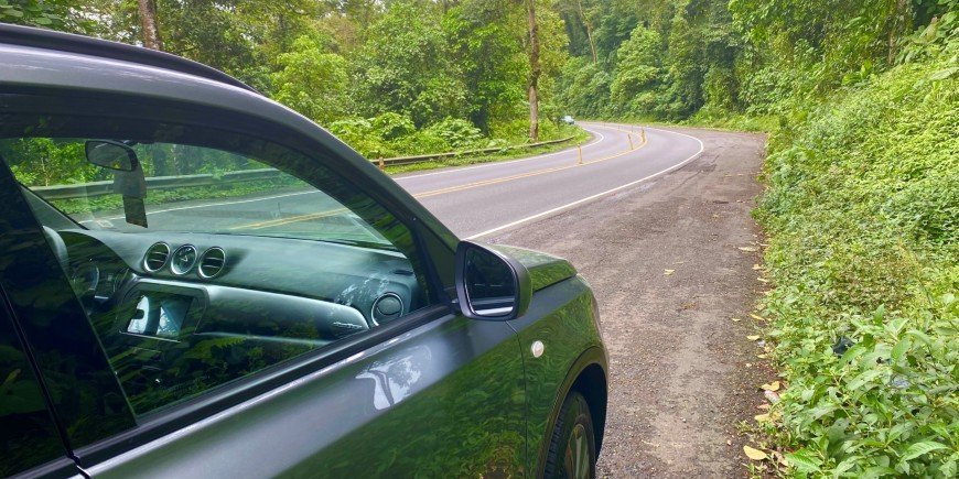 Car in lush surroundings