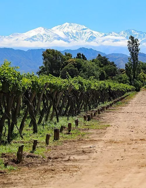 Chile & Argentina: Andes, Wine & Iguazú