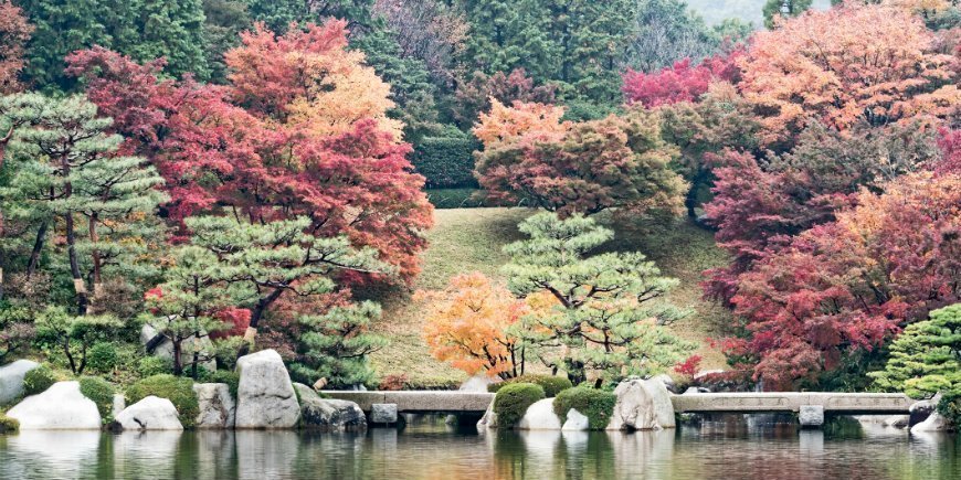 Koyo in Hiroshima