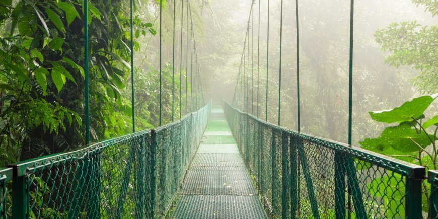 Hanging bridge in Monteverde Cloud Forest, Costa Rica