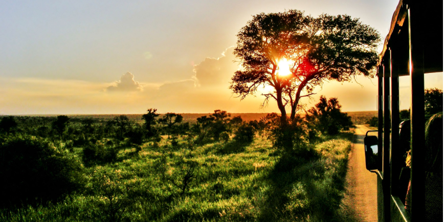 Game drive at sunset in South Africa