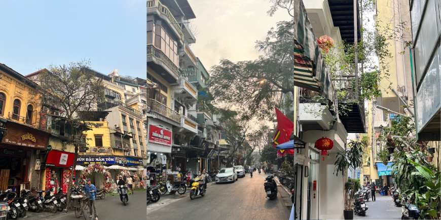 Hanoi Old Town