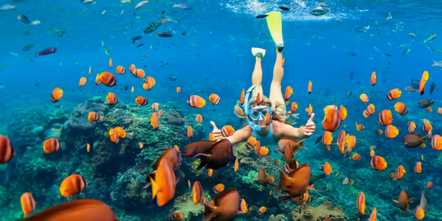 Snorkelling in Bali