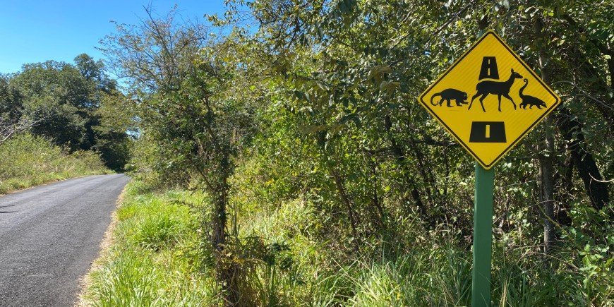 Road sign with animals on the road