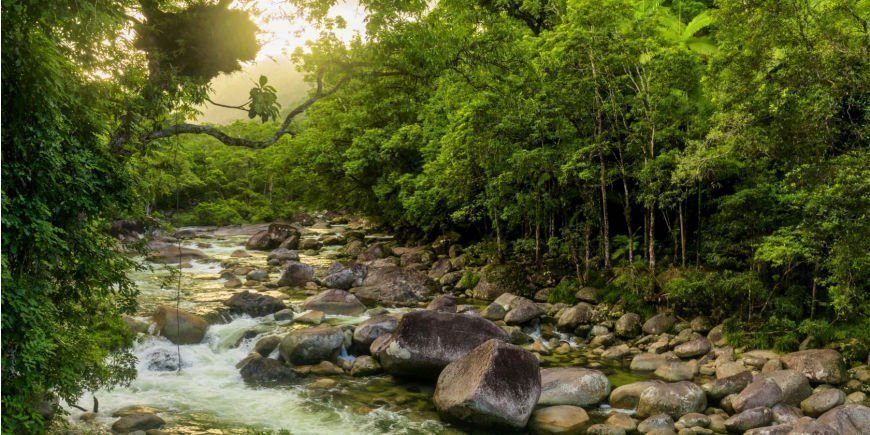 River in Daintree Rainforest 