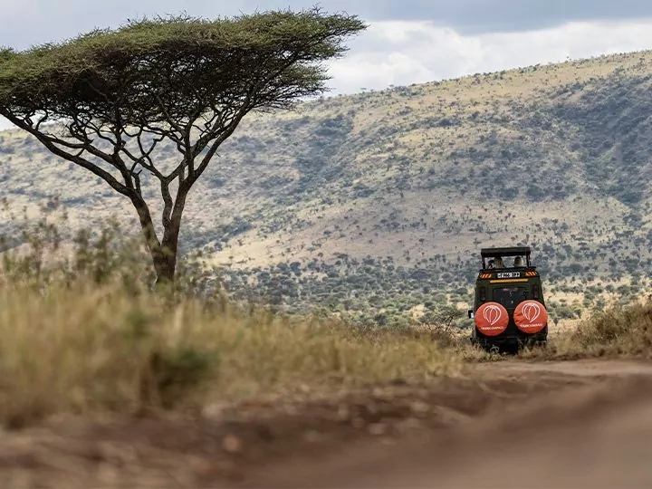 Safari holidays in Africa