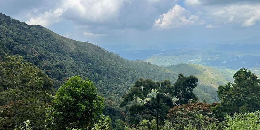 Beautiful view in Sri Lanka