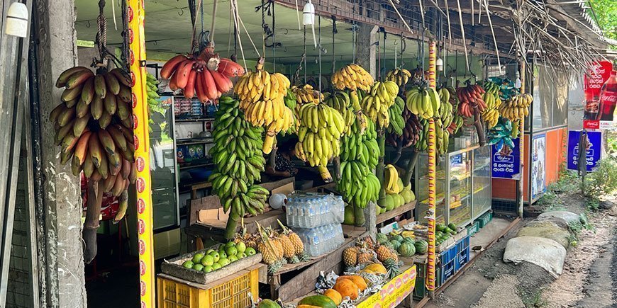 Roadside stall selling bananas in different colours