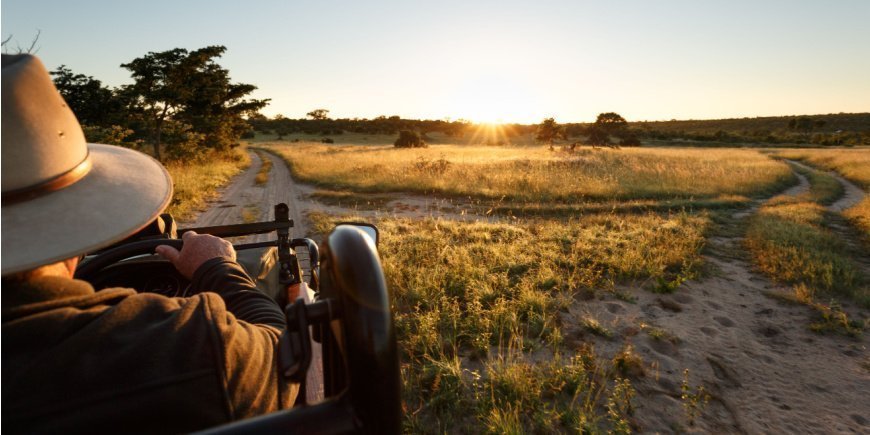 Safari in Sabi Sands Game Reserve