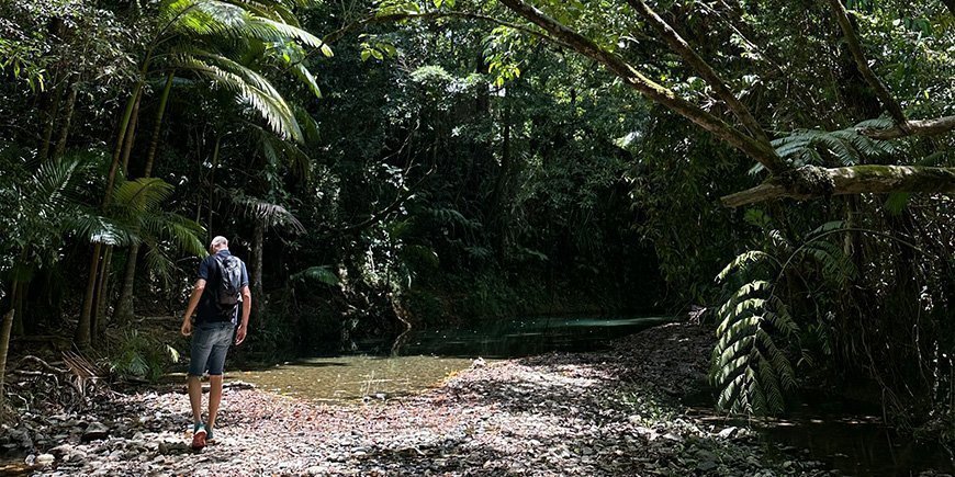 Man standing in Daintree rainforest in Australia