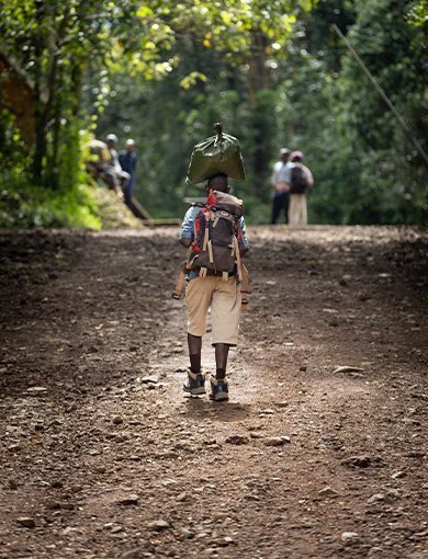 Working conditions for guides and porters, Kilimanjaro