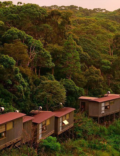 The Rainforest Eco Lodge, Sri lanka