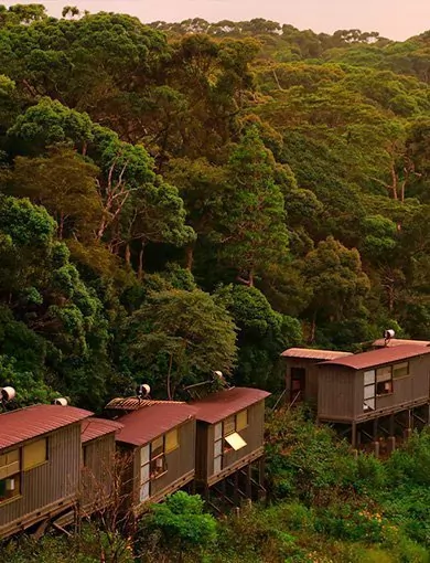 The Rainforest Eco Lodge, Sri lanka