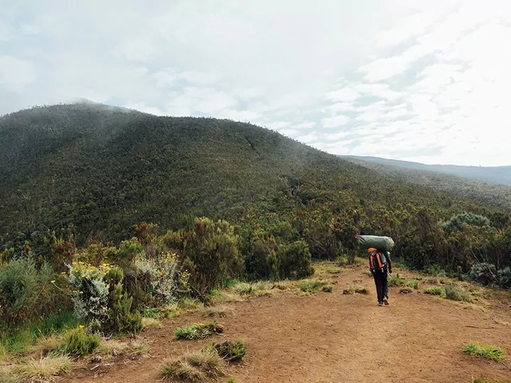 Working conditions for guides and porters, Kilimanjaro