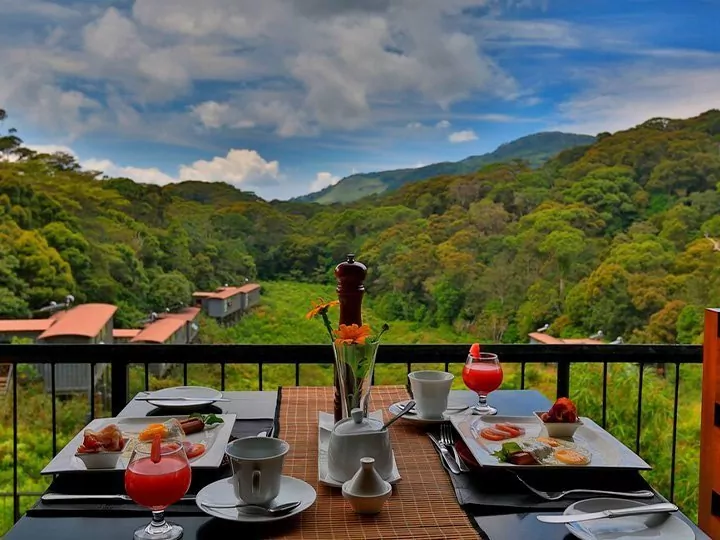 The Rainforest Eco Lodge, Sri lanka