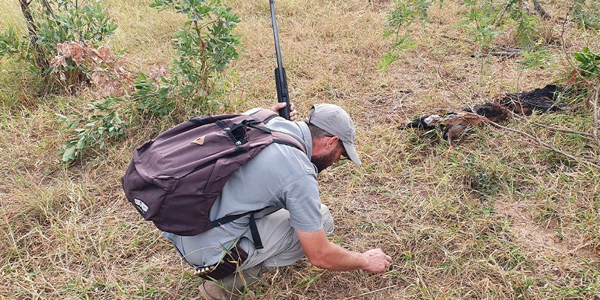 nature guide examining the soil