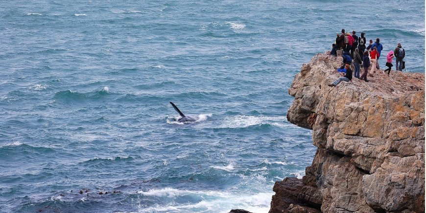 People watching whales from cliff ledges in Hermanus, South Africa