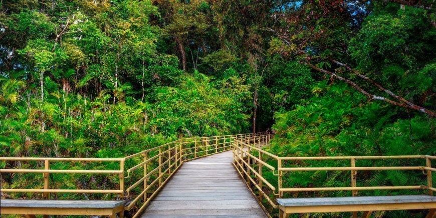 A path to Manuel Antonio in Costa Rica