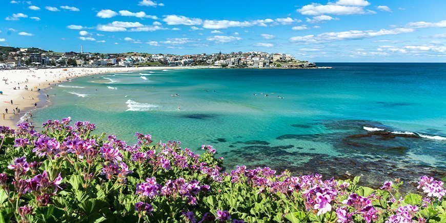 Flowers bloom at Bondi Beach in Sydney, Australia